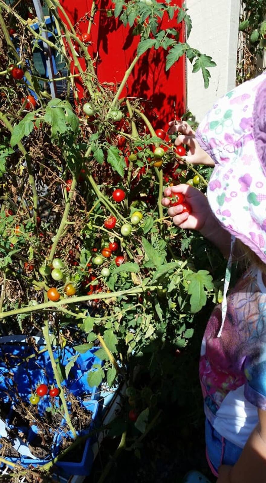 Beenleigh Family Day Care - Providing high quality education and care to Logan and Northern Gold Coast suburbs