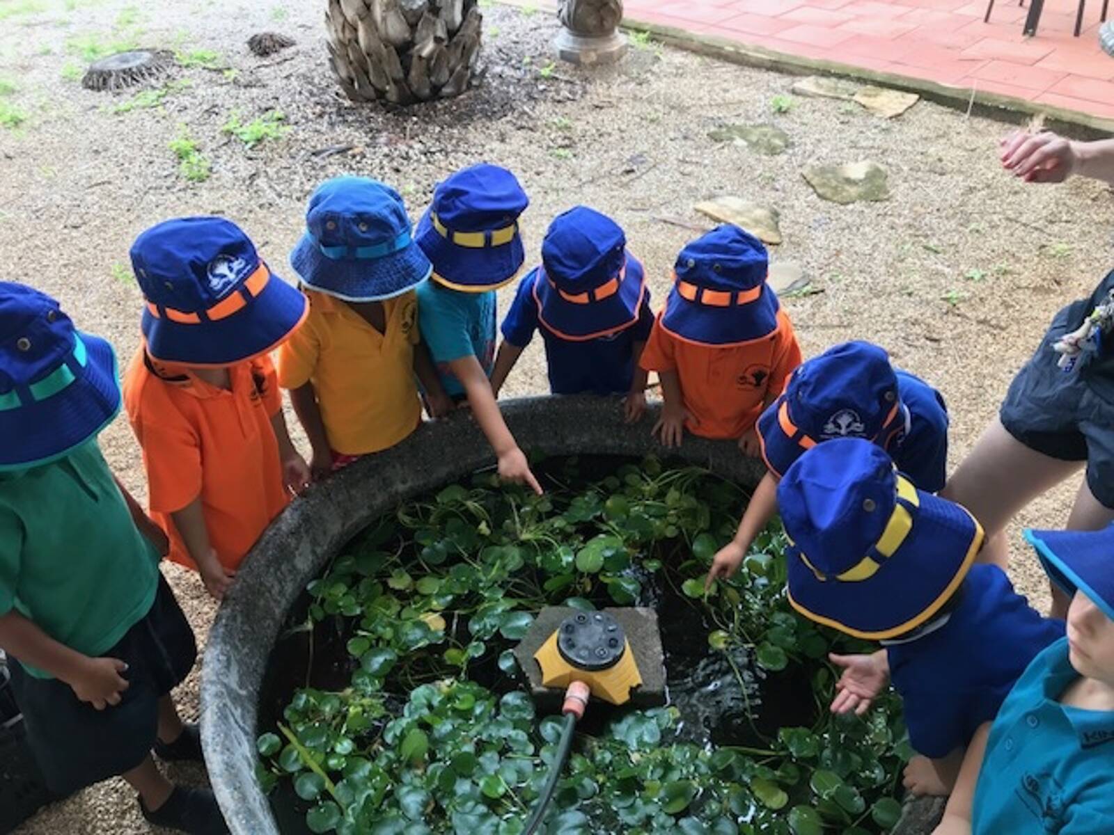 Clyde Fenton Preschool