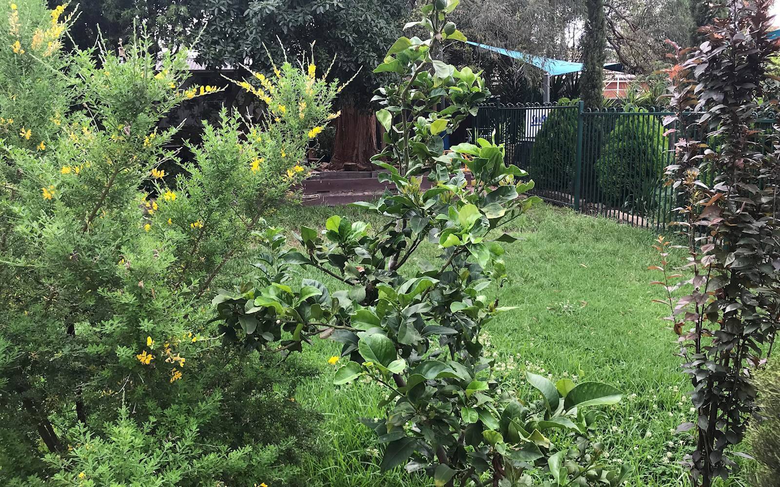 Wonder World Play Centre