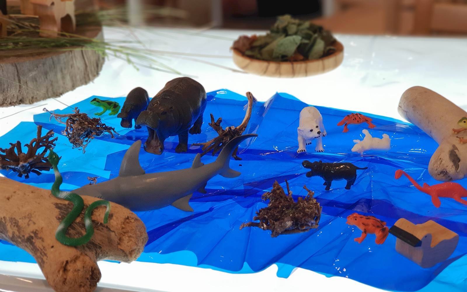 The Hub Preschool & Early Education Academy Sandgate