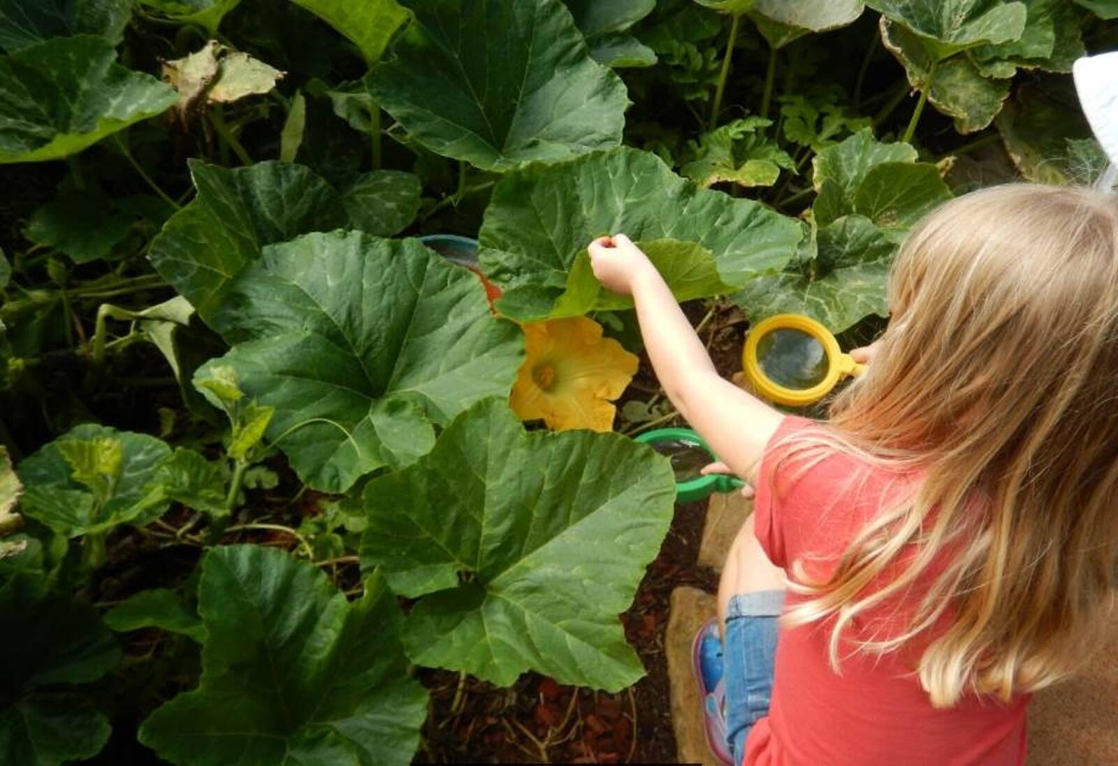 Hunter Early Childhood Centre