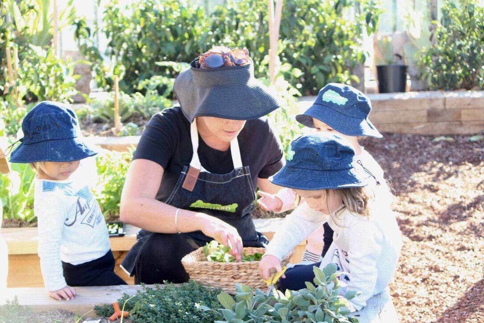 Orchard Early Learning Centre Kirrawee