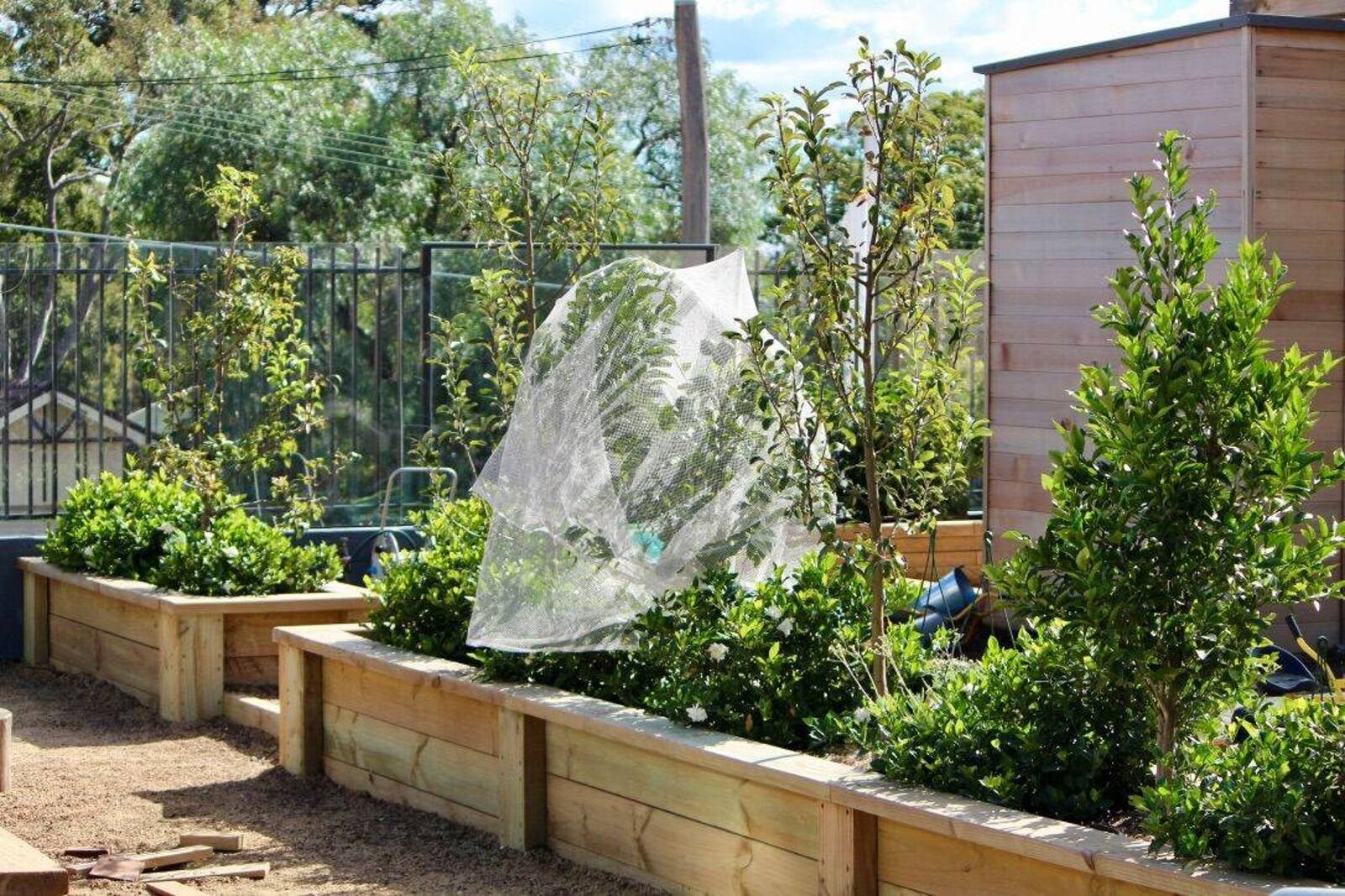 Orchard Early Learning Centre Kirrawee