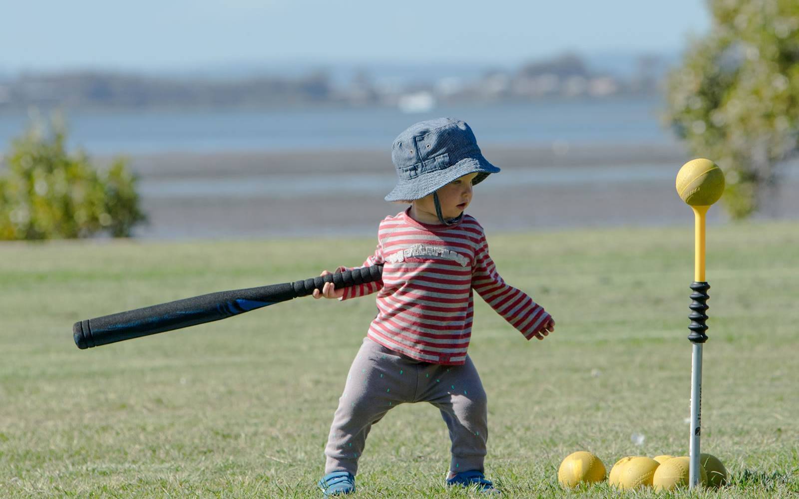 Wynnum Family Day Care Education Service - Carina