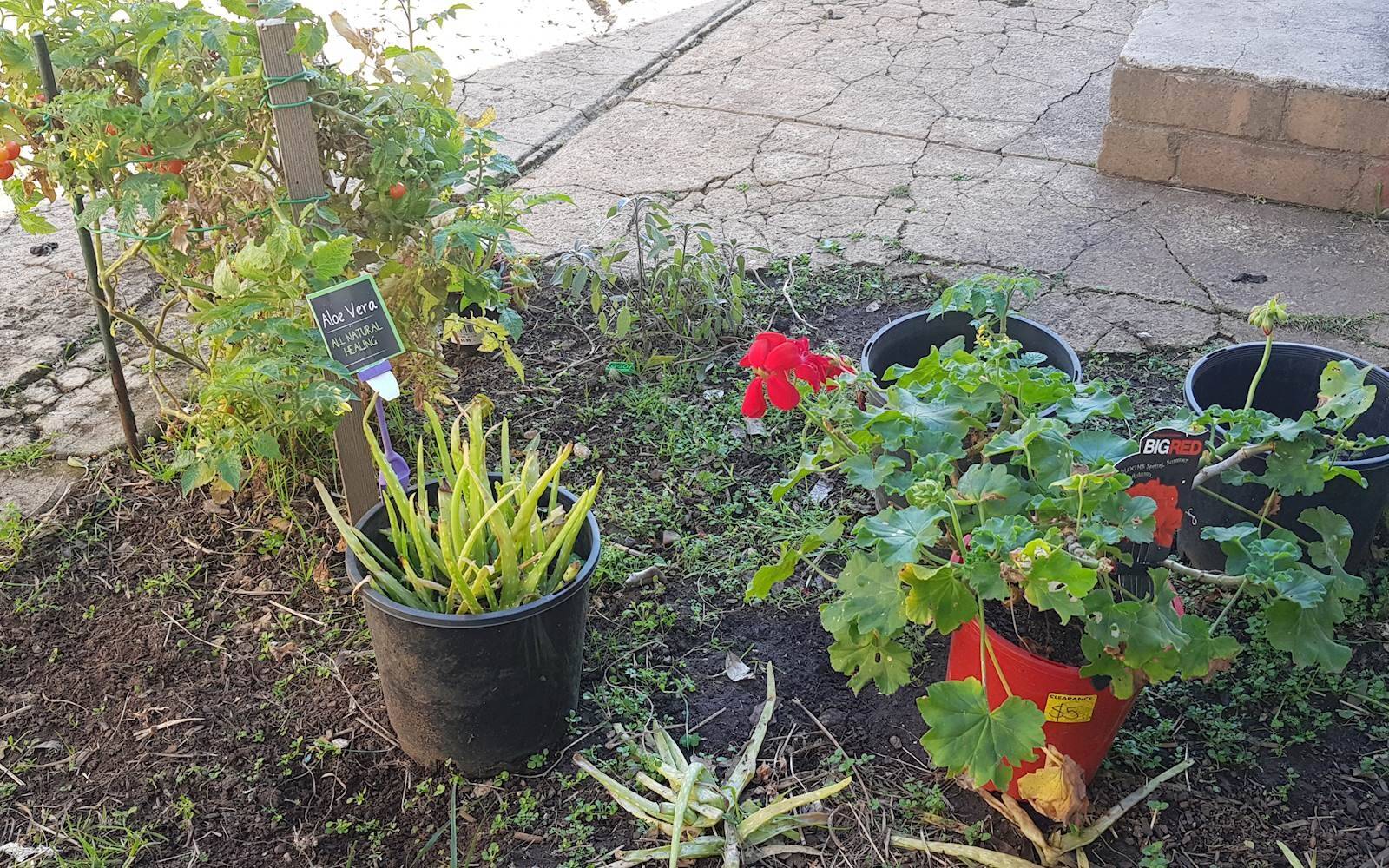 Heavenly Family Day Care