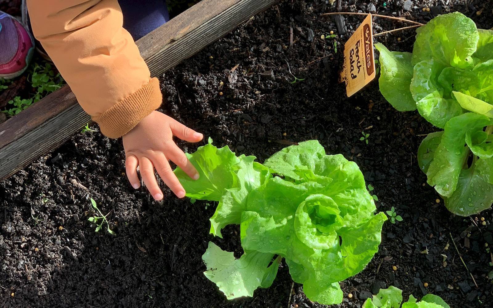 Explore & Develop - North Ryde Public School