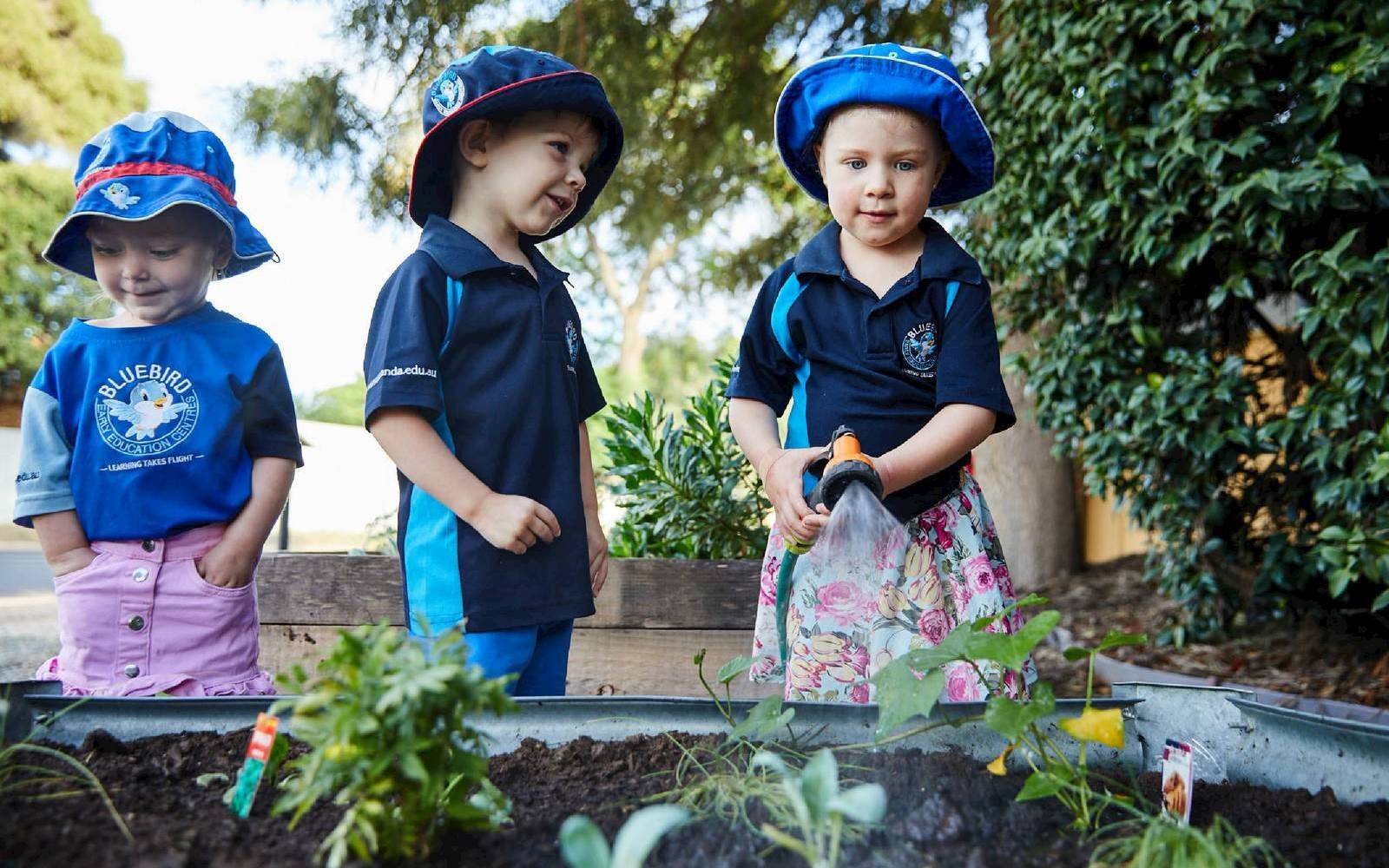 Bluebird Early Education Cobram