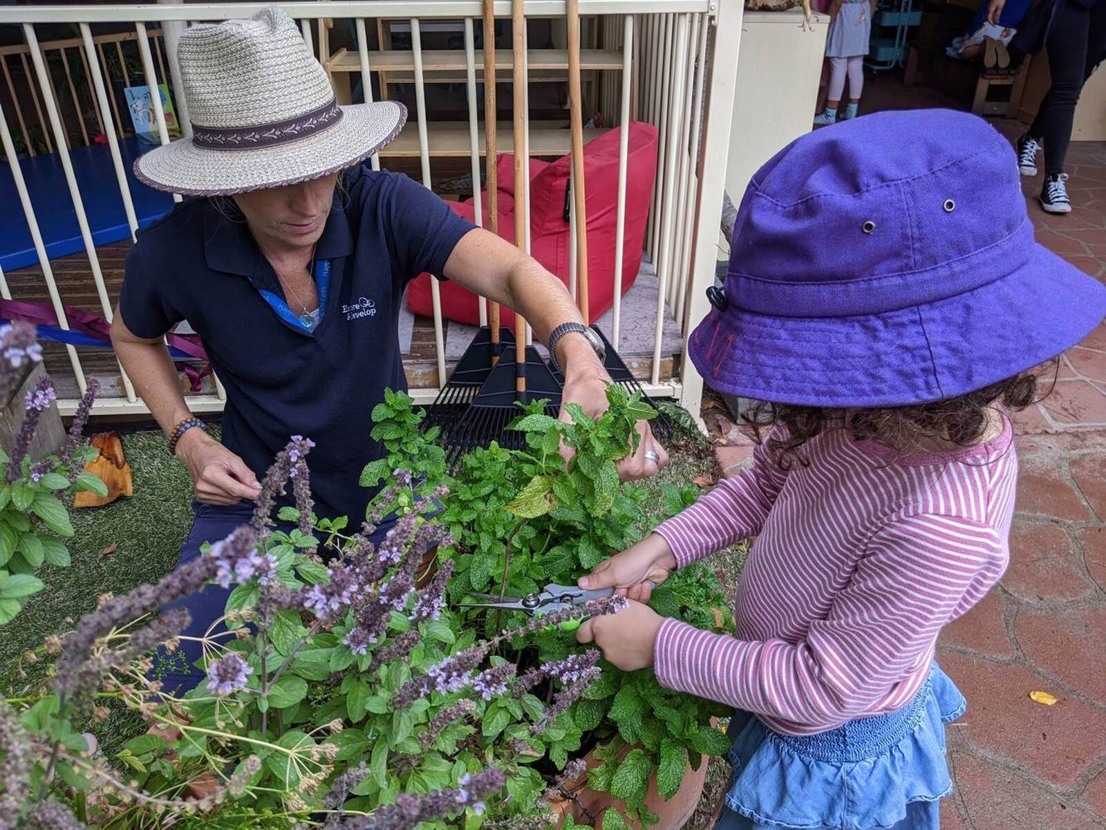 Explore & Develop - Artarmon