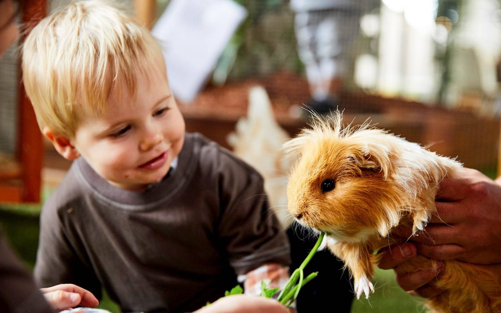 Paisley Park Early Learning Centre - Prospect