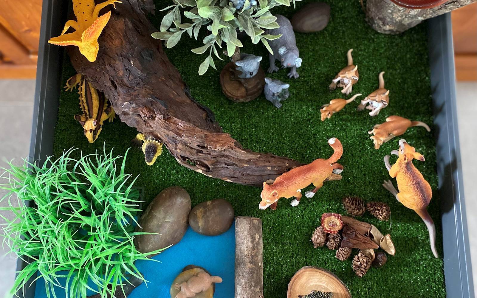 Waterford Family Day Care