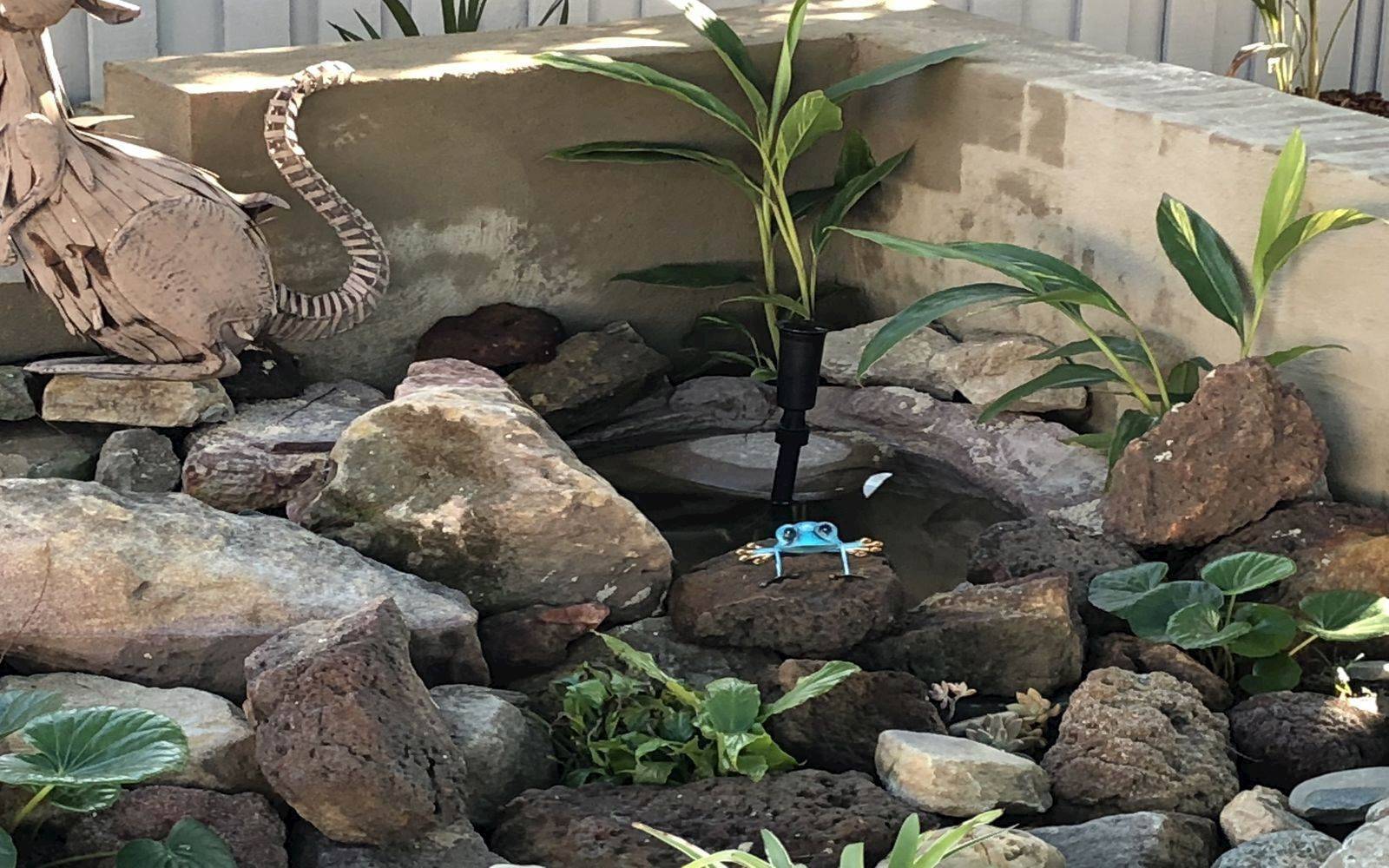 My Little Angels Learning Academy