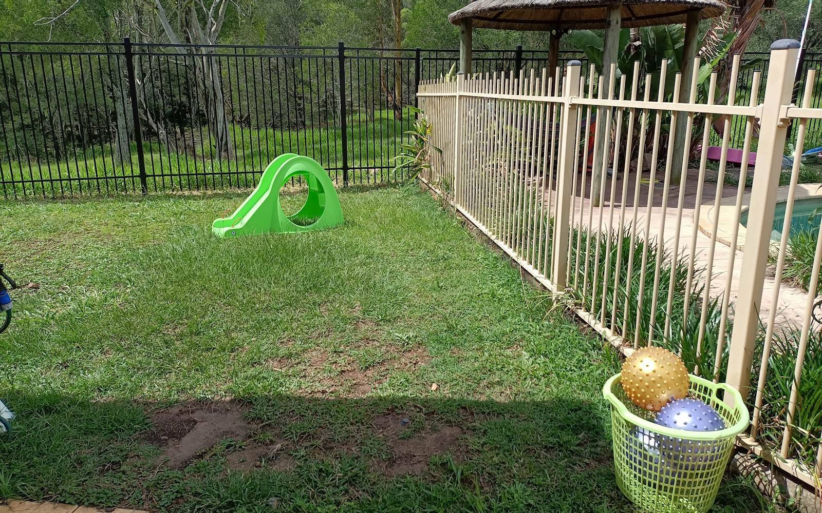 Sage Infant Care FDC