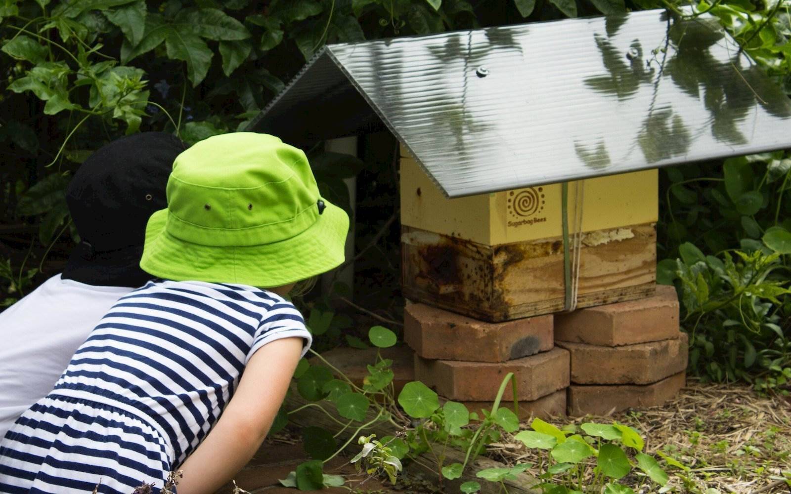 Willoughby Community Pre-School