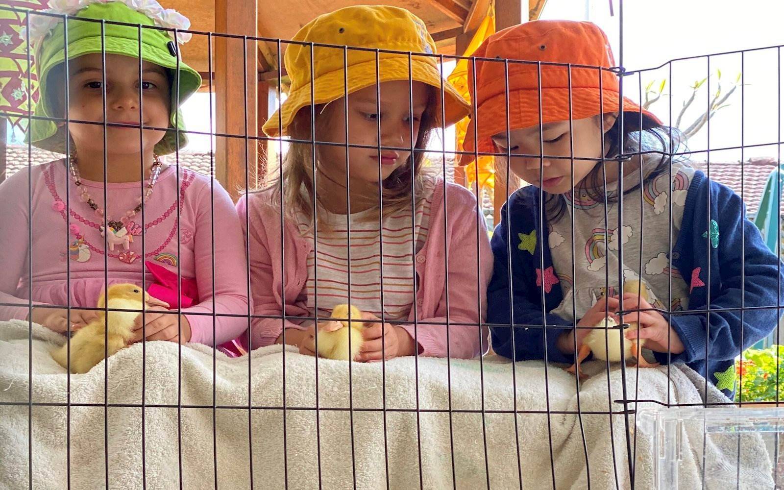 Willoughby Community Pre-School