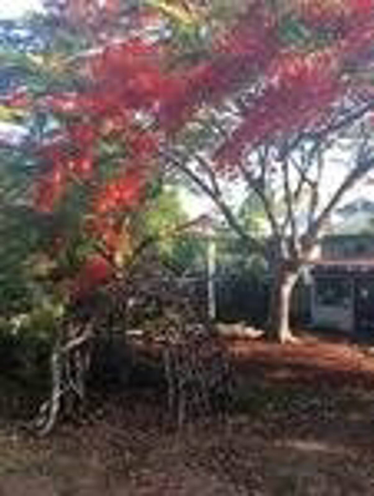 C&K Corbett Street Community Kindergarten