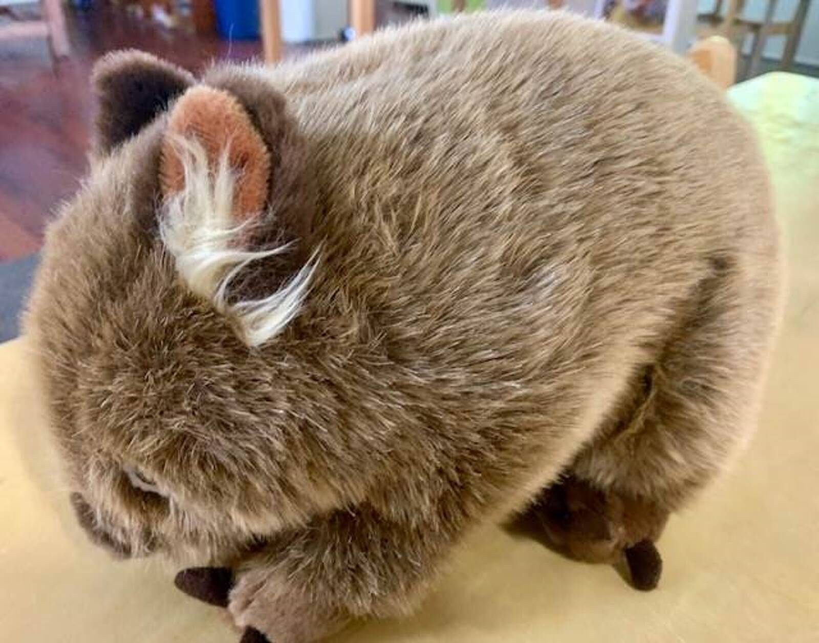 C&K Corbett Street Community Kindergarten