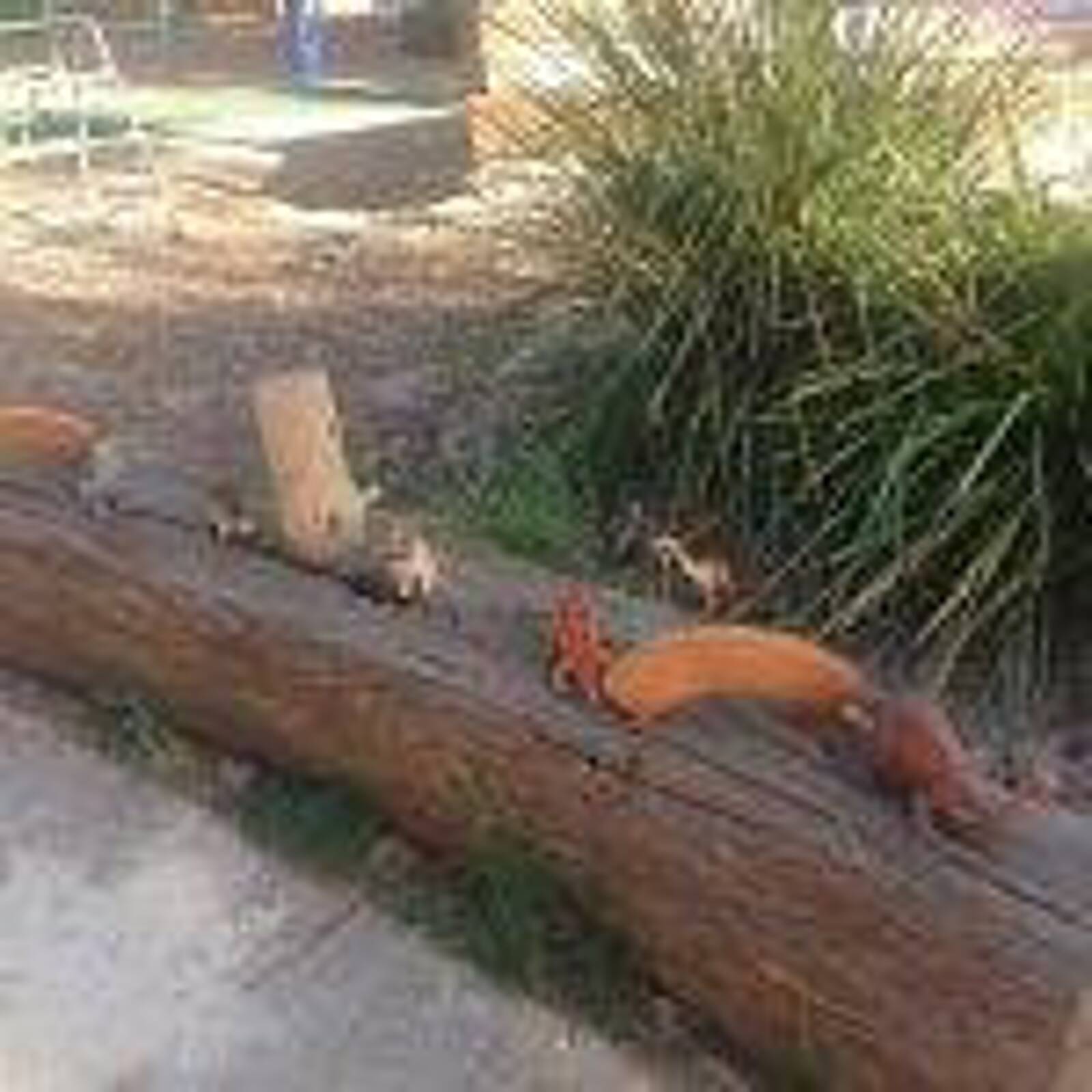 Numdaji Kwei Childrens Centre