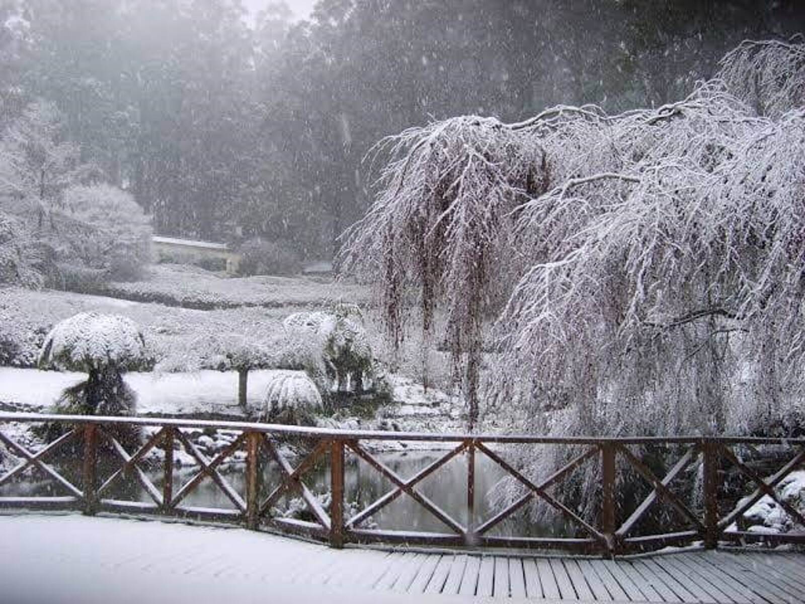Mt Dandenong Preschool