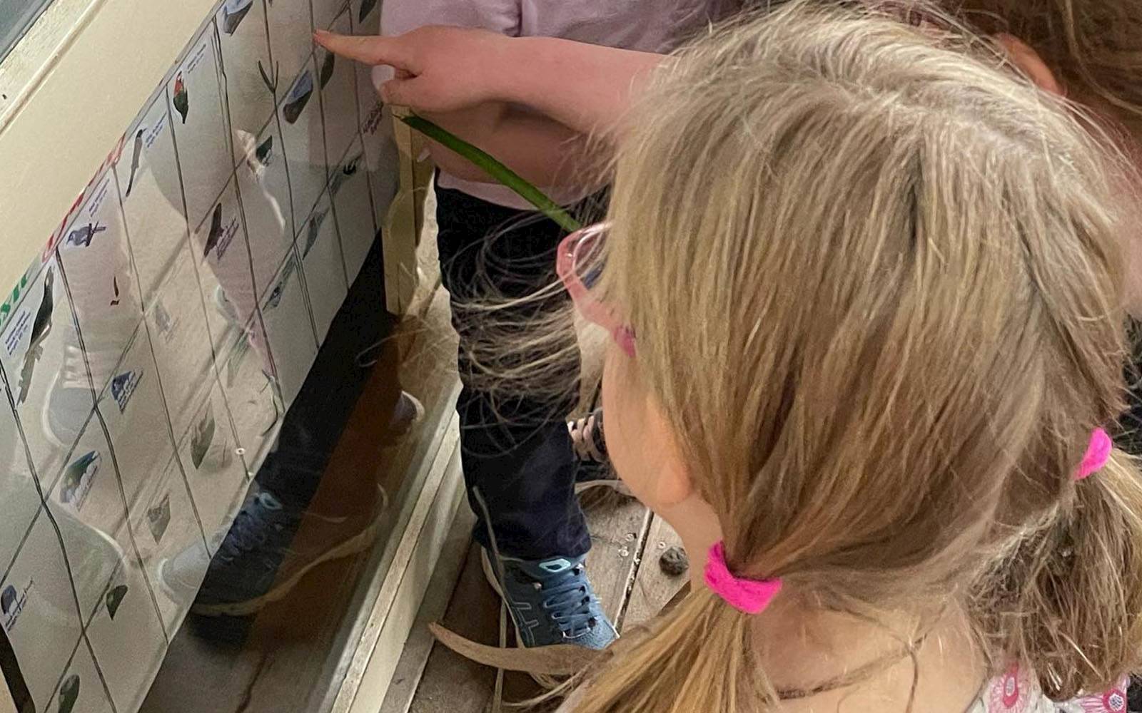 Flemington Child Care Co-operative