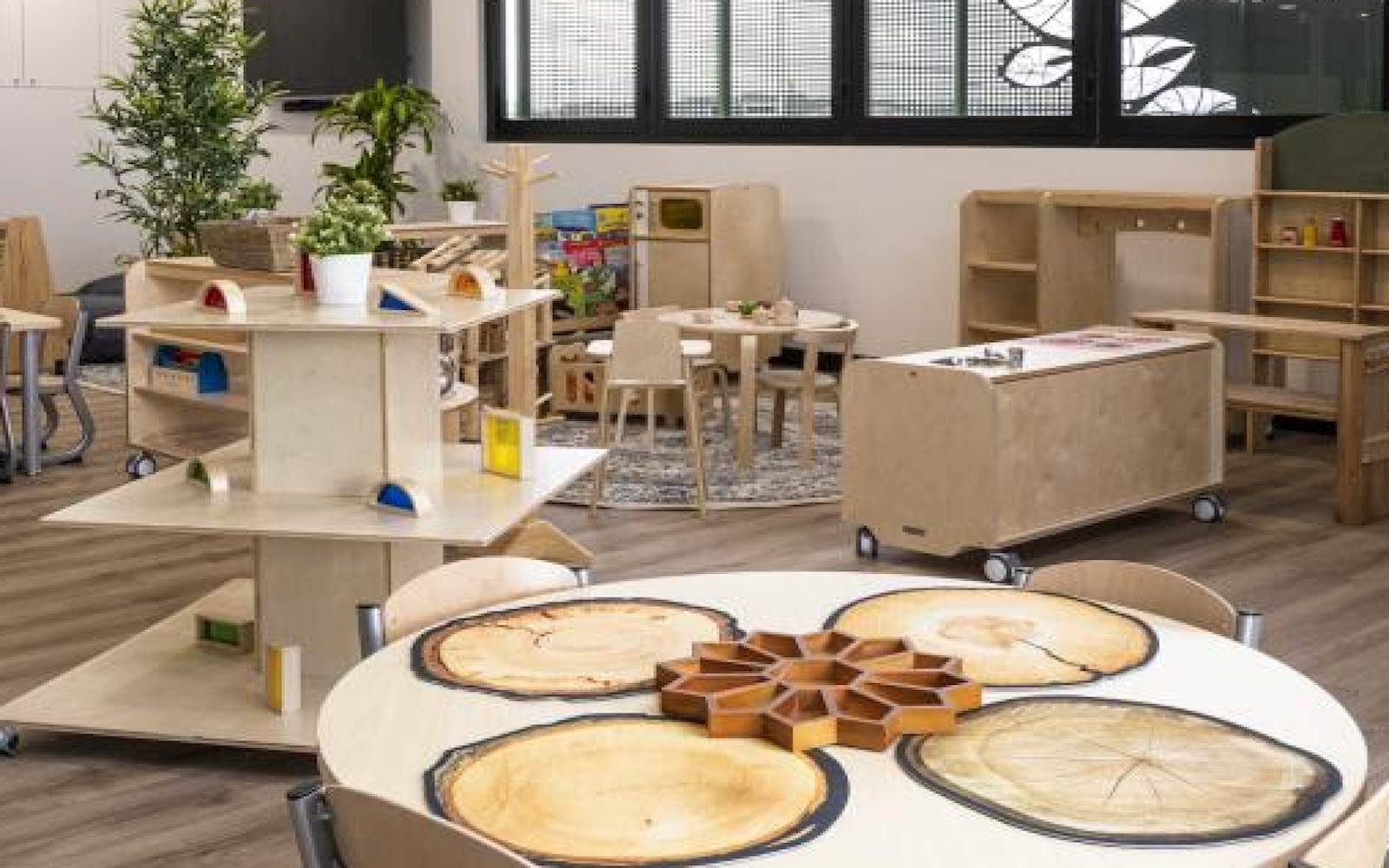 Exploring Tree Oran Park