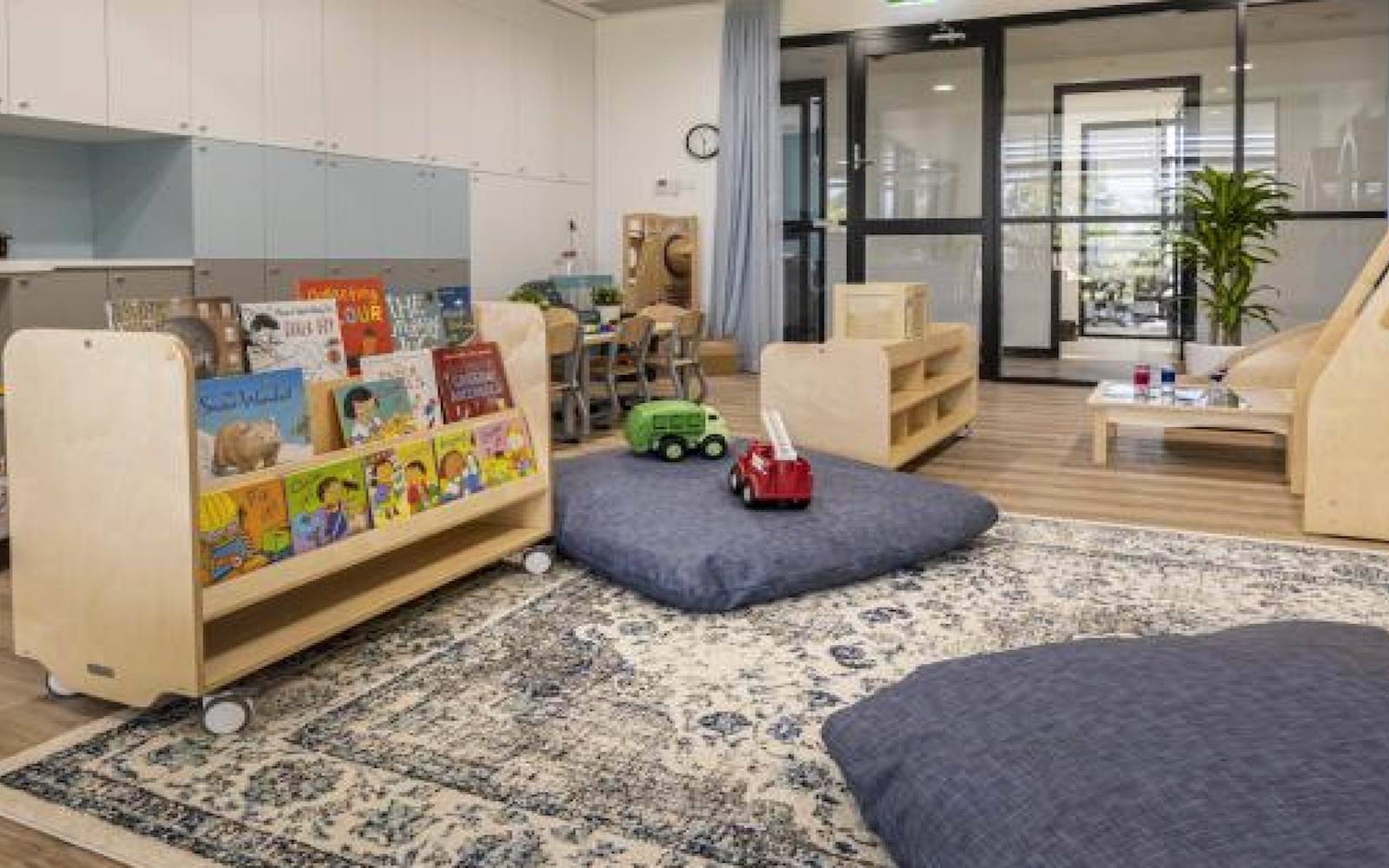 Exploring Tree Oran Park