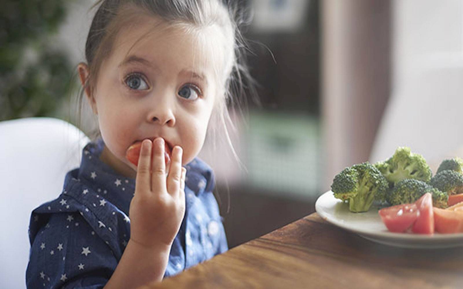 The Nest Early Education Centre of Excellence