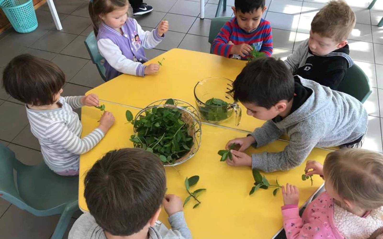 Montessori Works - Maroubra Beach Babies