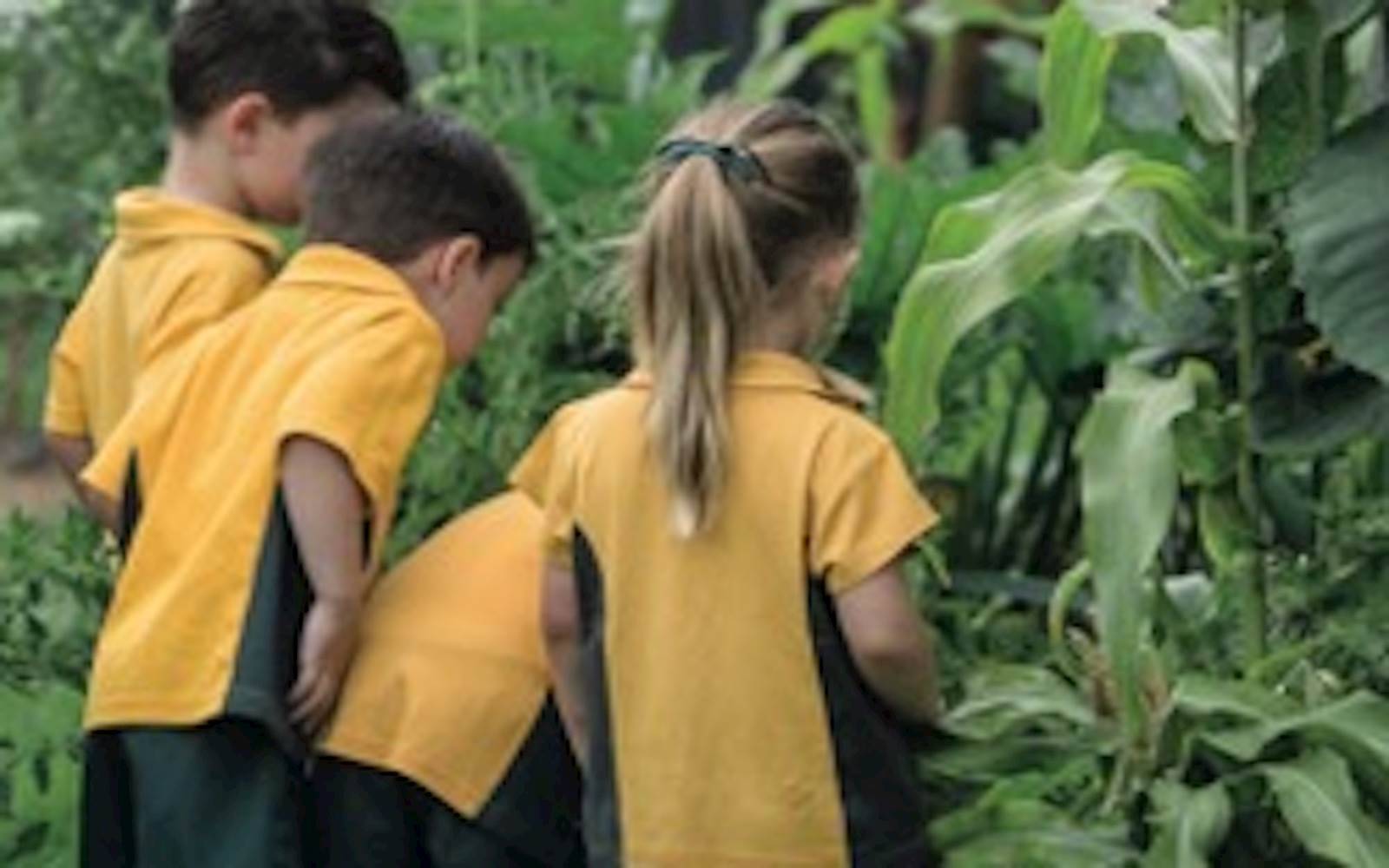 Firbank Grammar School - Brighton