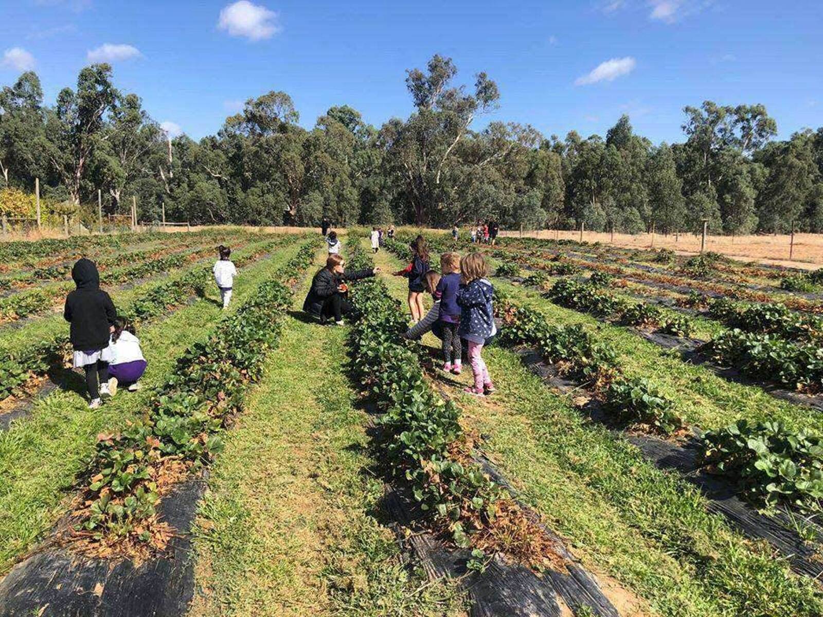 Guthrie Street Child Care Centre