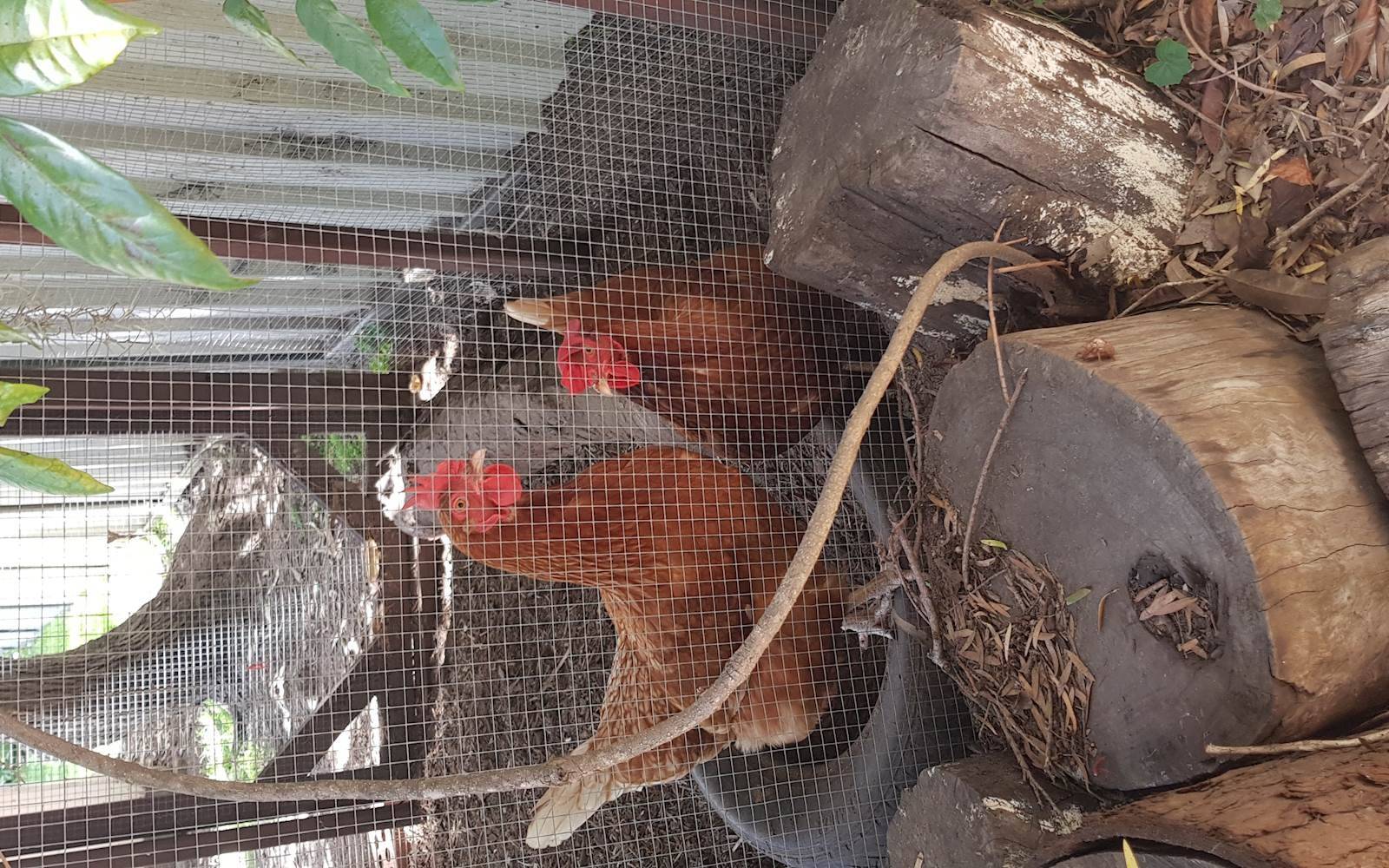 Bright House Preschool