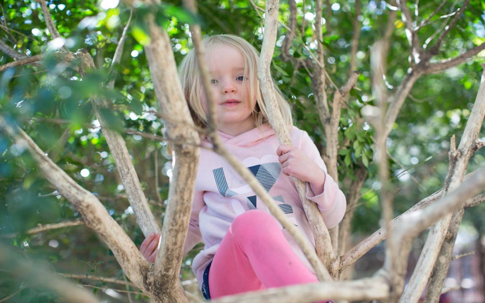 Camperdown Child Care and Pre-School