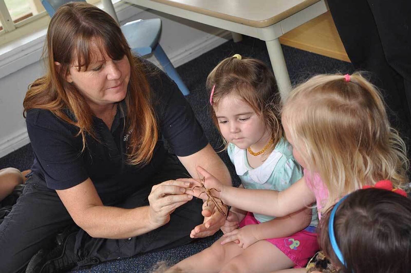 Blairmount Kids Learning Academy