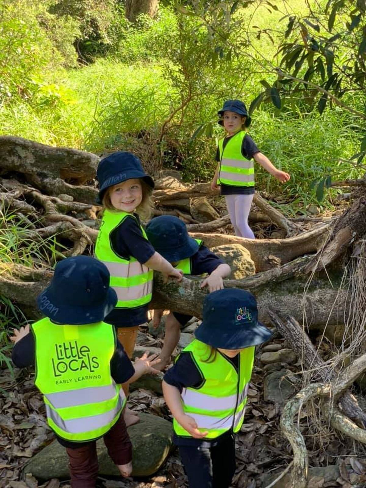 Curiosity Tree Morayfield