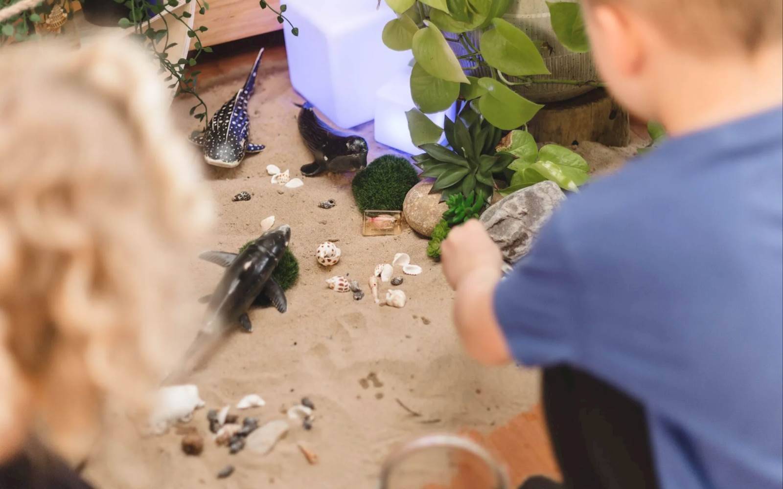 Junior Einsteins Nurturing Centre - Flinders