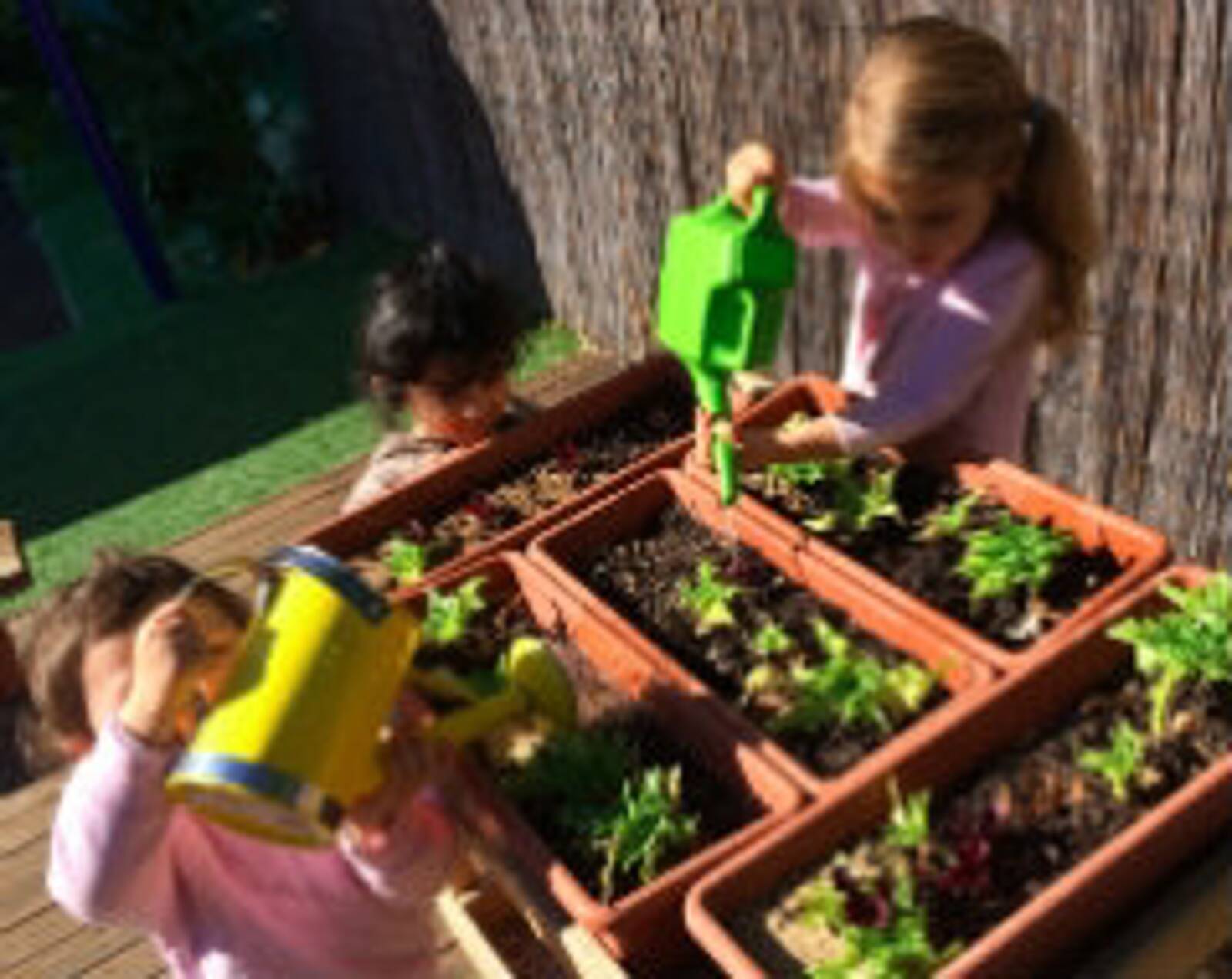 Penrith Early Learning Centre