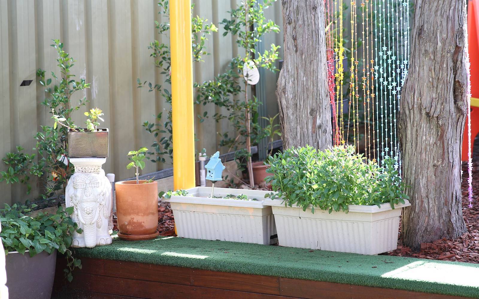 Ekidna Cottage Long Day Care