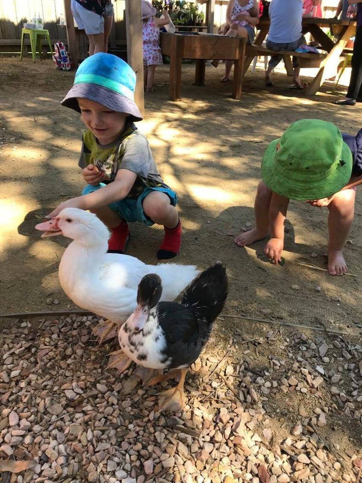 Kardinia Childcare and Kindergarten Warrnambool