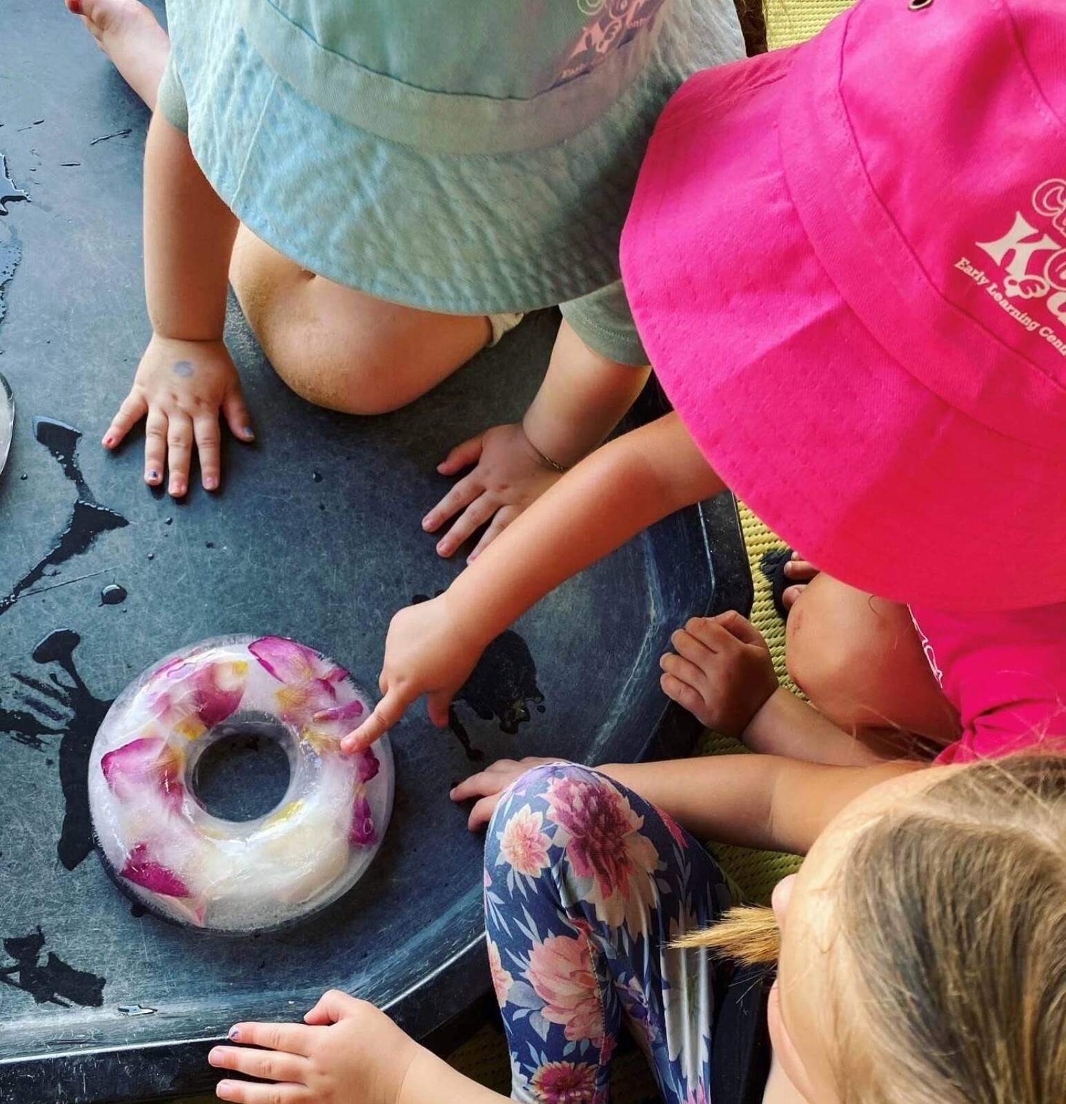 Curious Kids Early Learning Centre