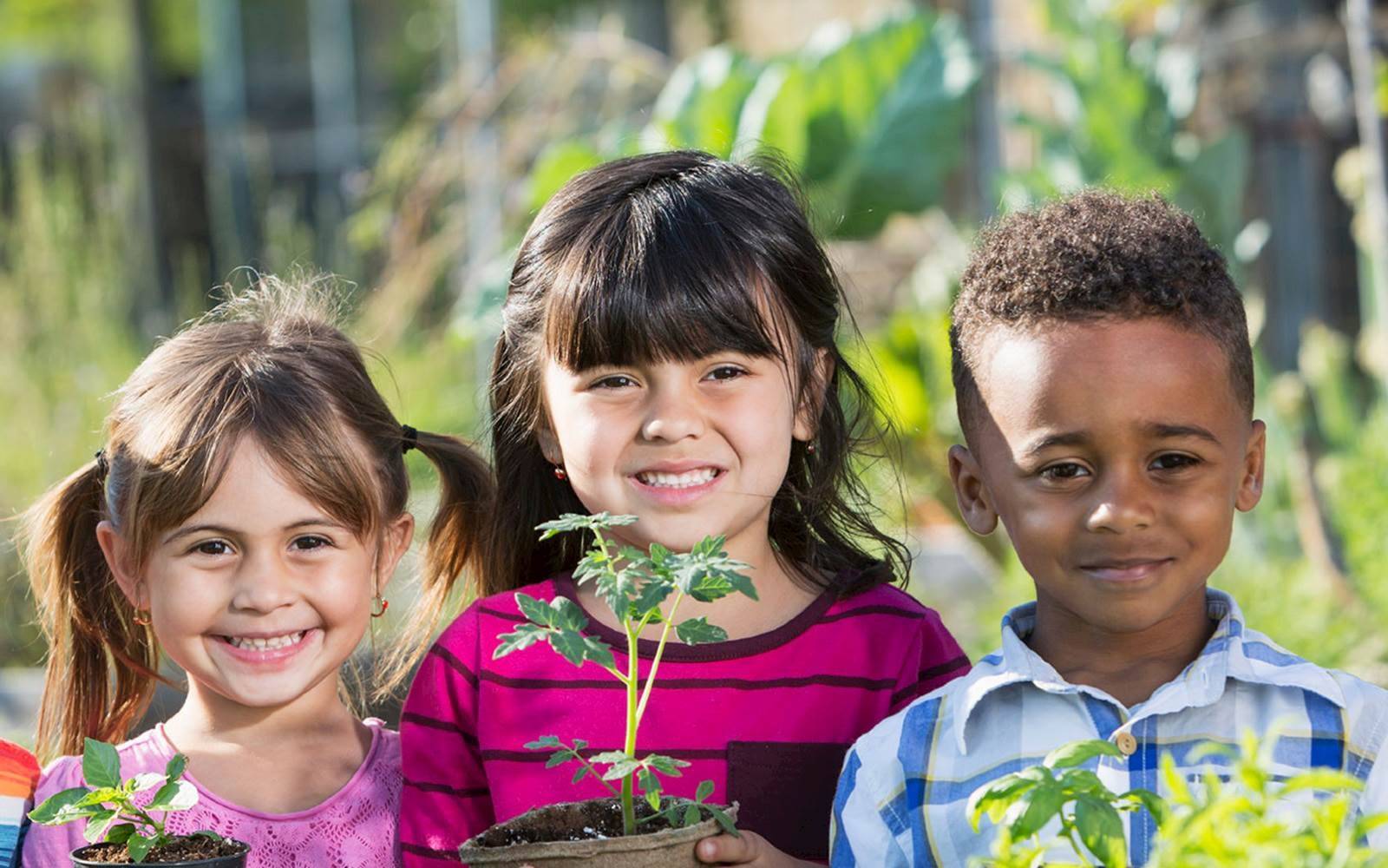 Tinning Street Child Care Centre
