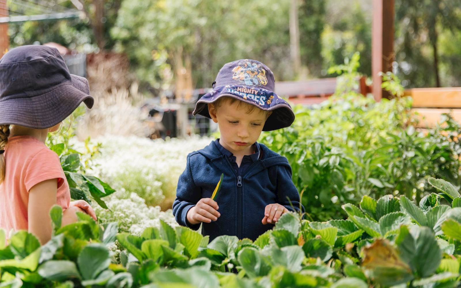 Waite Campus Childrens Centre