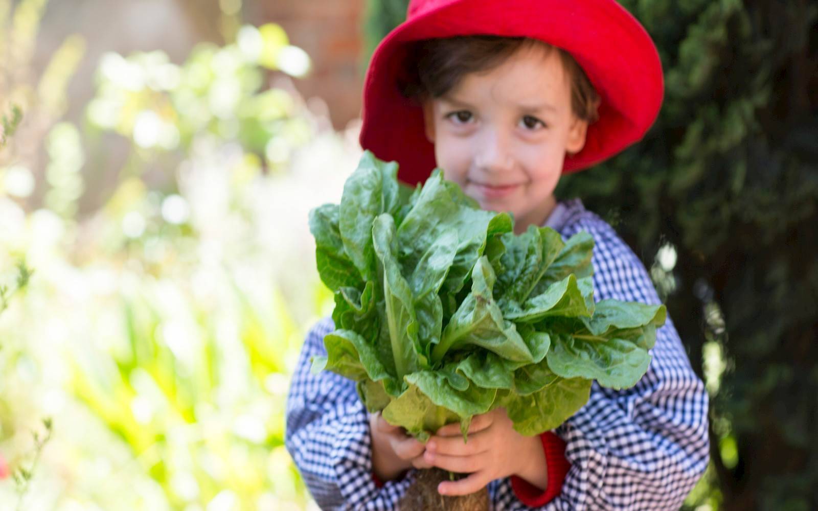 Ladybird Manor Montessori Early Learning
