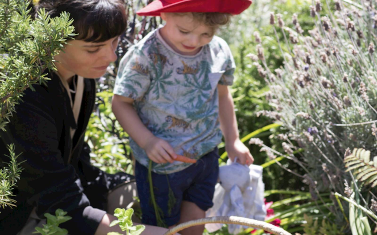 Ladybird Manor Montessori Early Learning