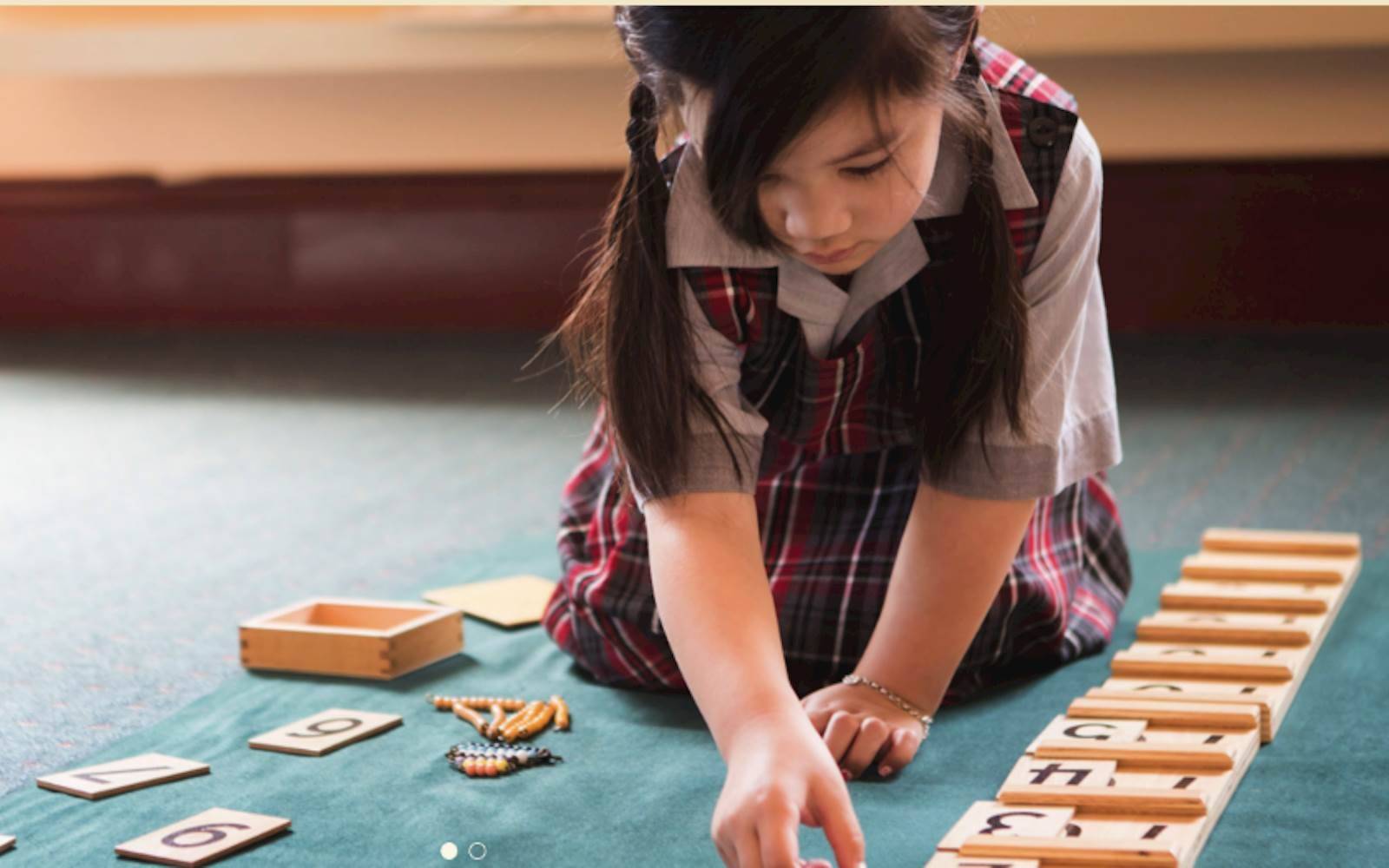 Ladybird Manor Montessori Early Learning