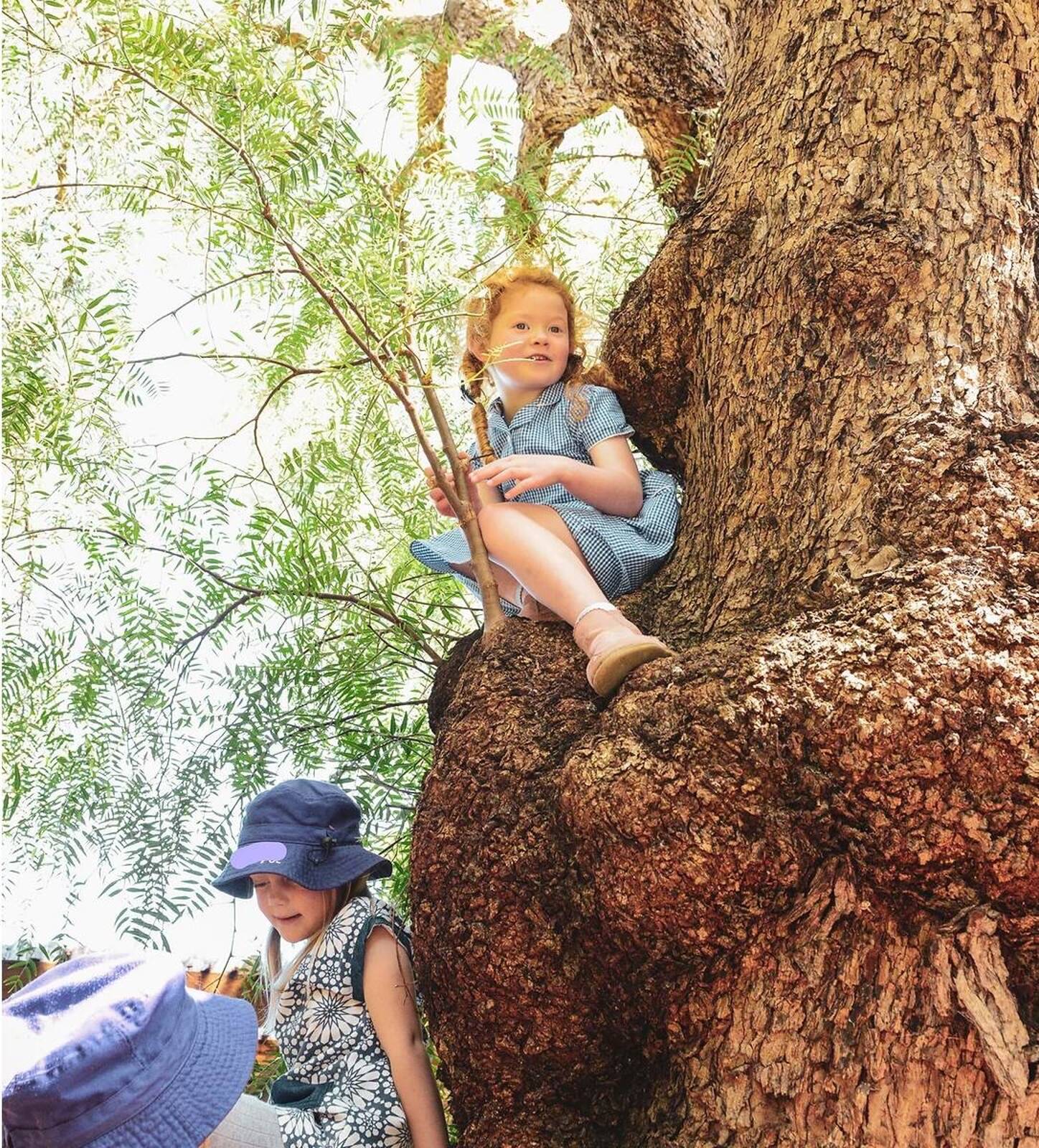 Auburn Kindergarten & Child Care Centre