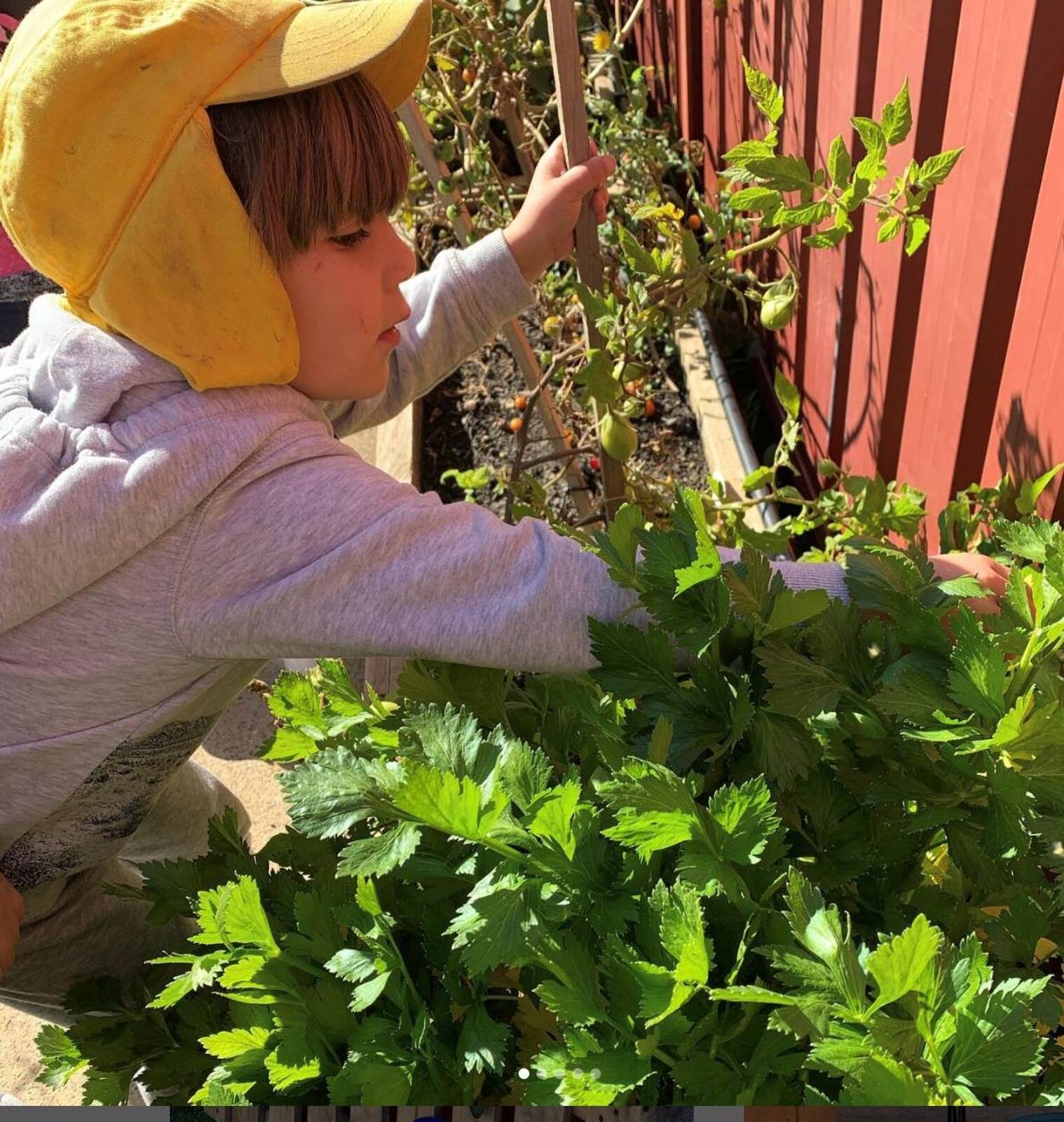 Kids Early Education Pre-School