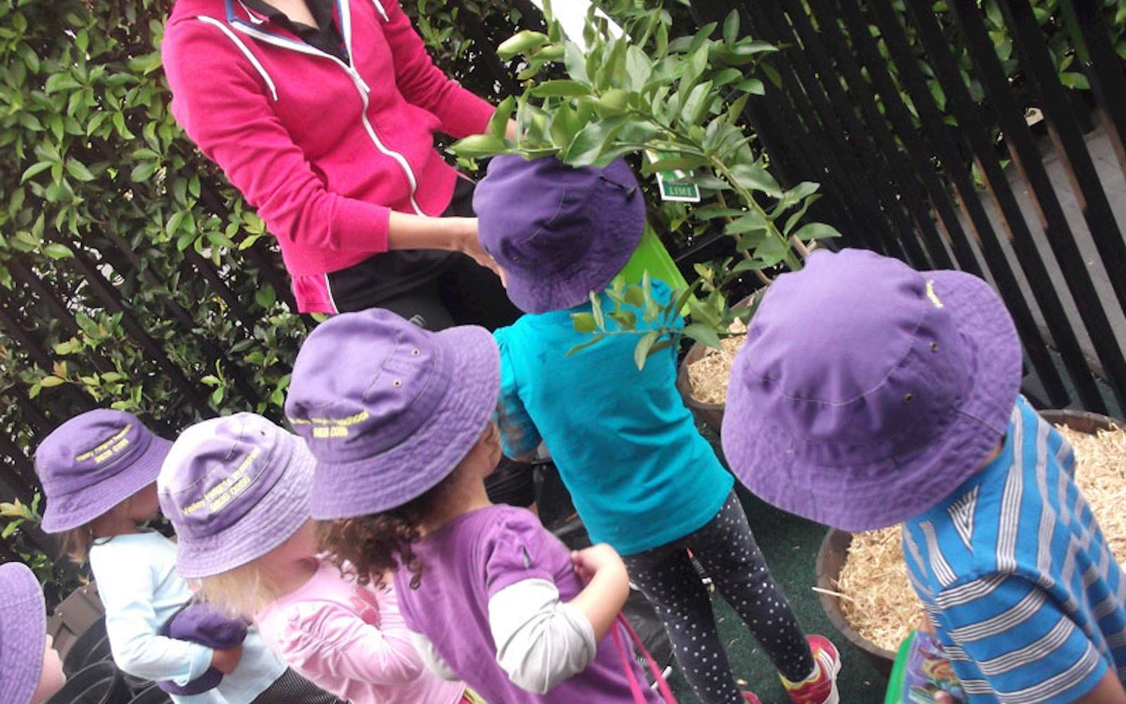 Valley Heights Preschool Long Day Care Centre