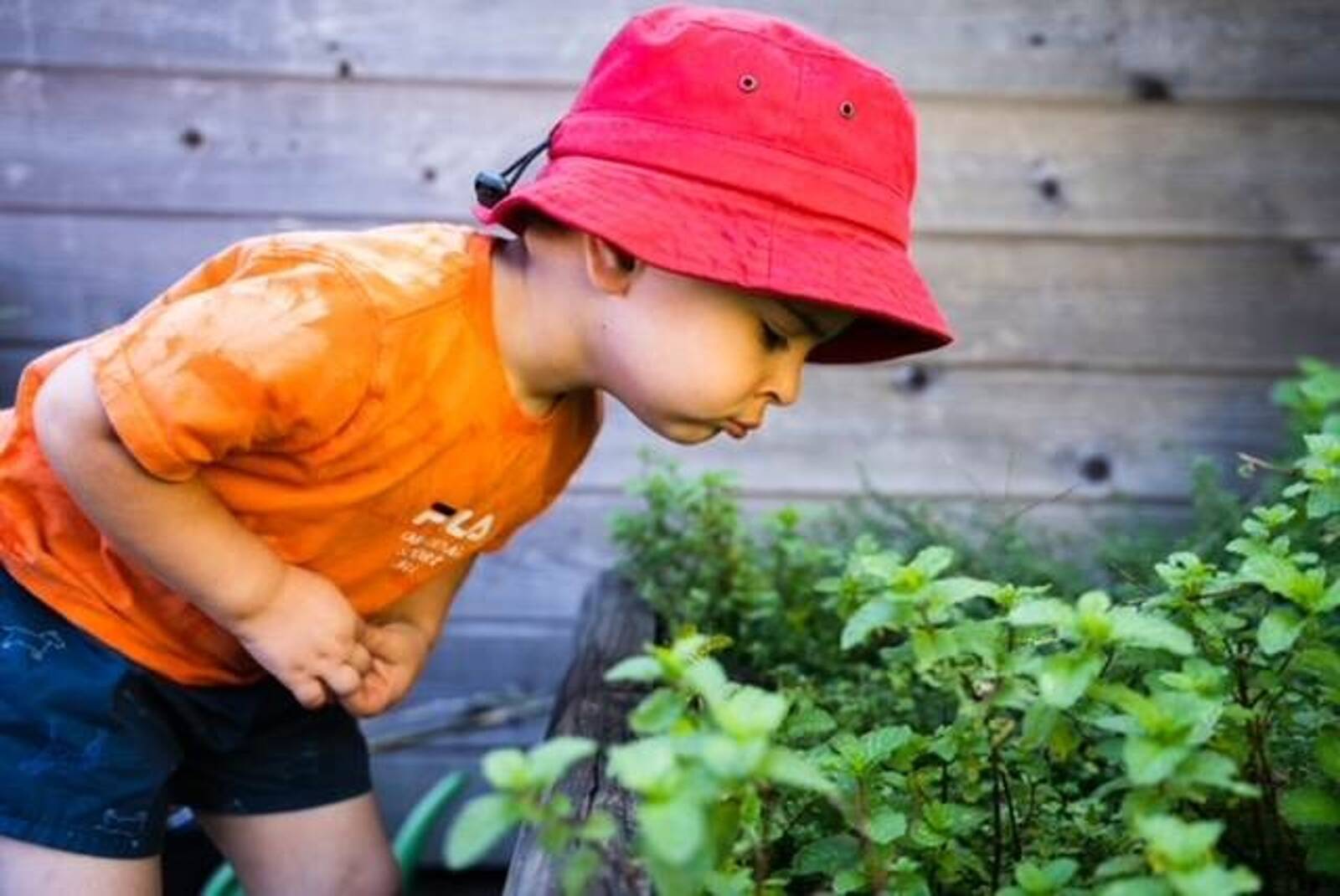 Dulwich Hill Childcare Centre