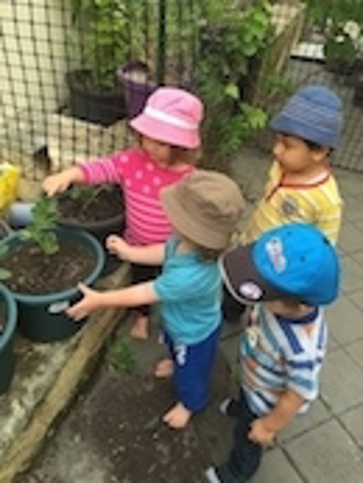 Zia's Little Friends family day care