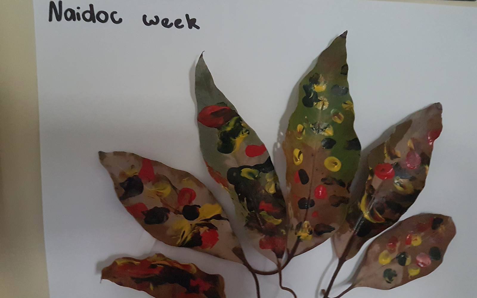 Olga's Family Day Care