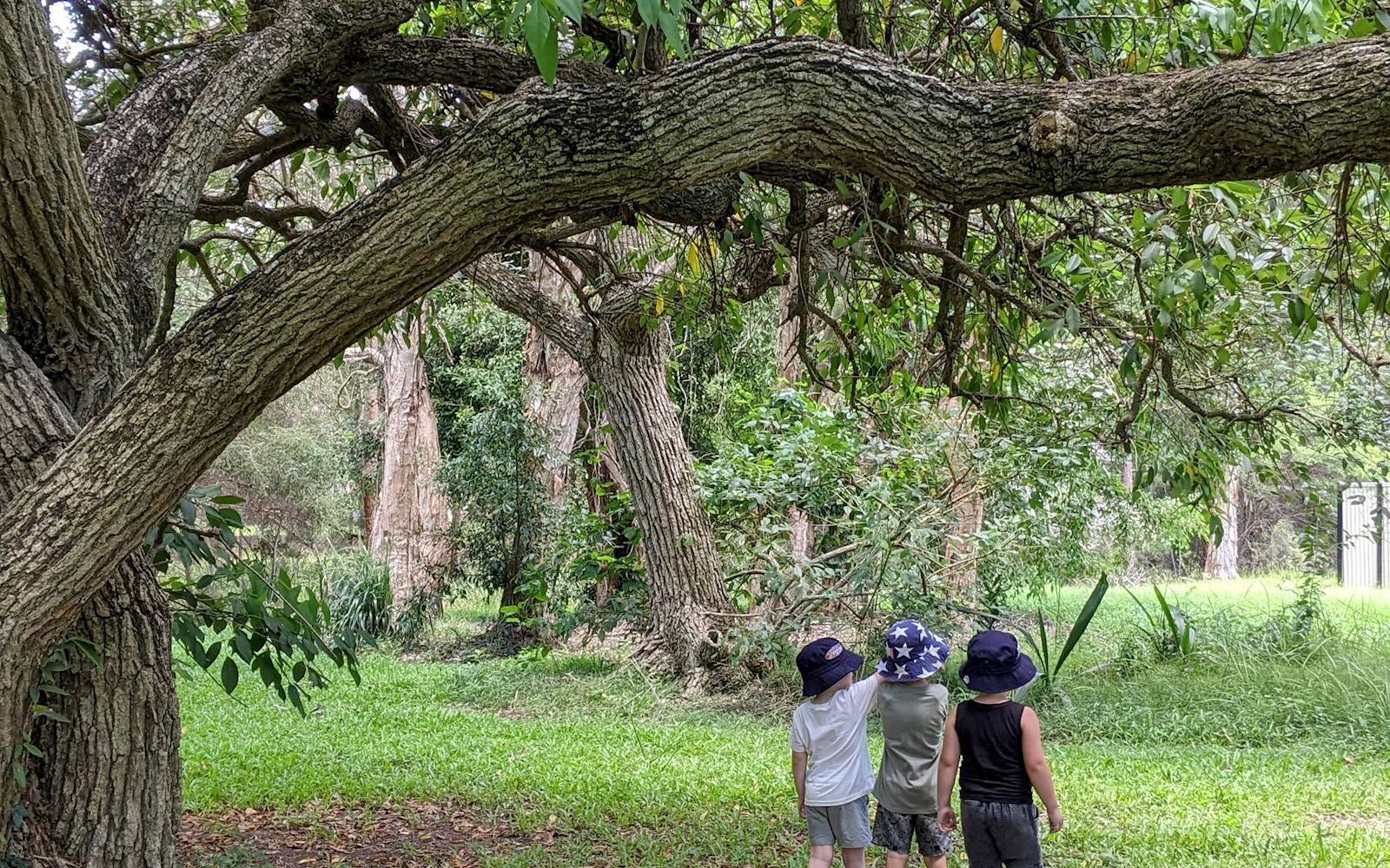 Donna's Family Day Care